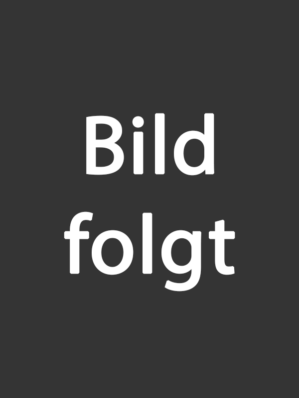 Julian Ringelmann bei elektro Gruß in Thüngersheim